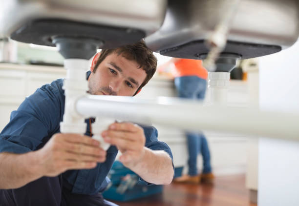 Best Clogged Drain Plumber  in Petersburg, WV